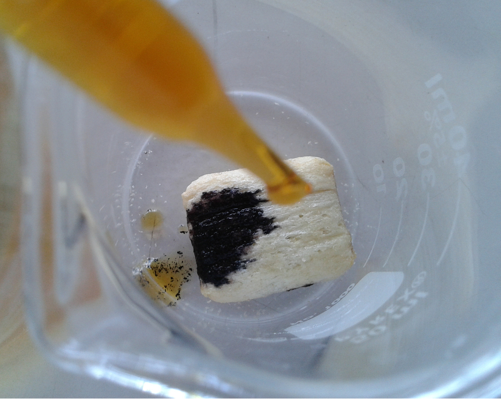 Experimental test starch